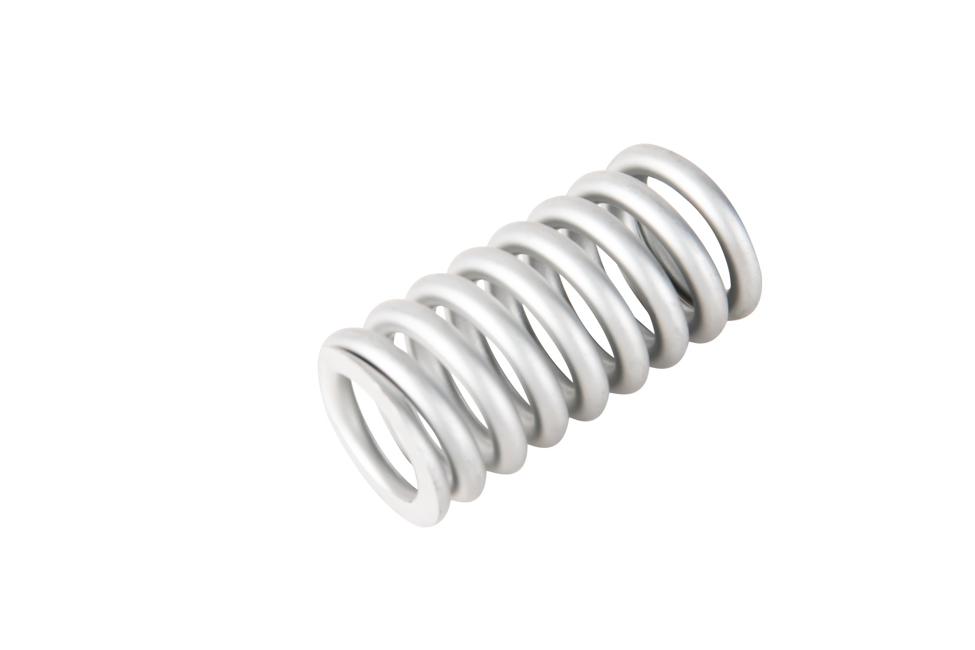 Stainless steel spring