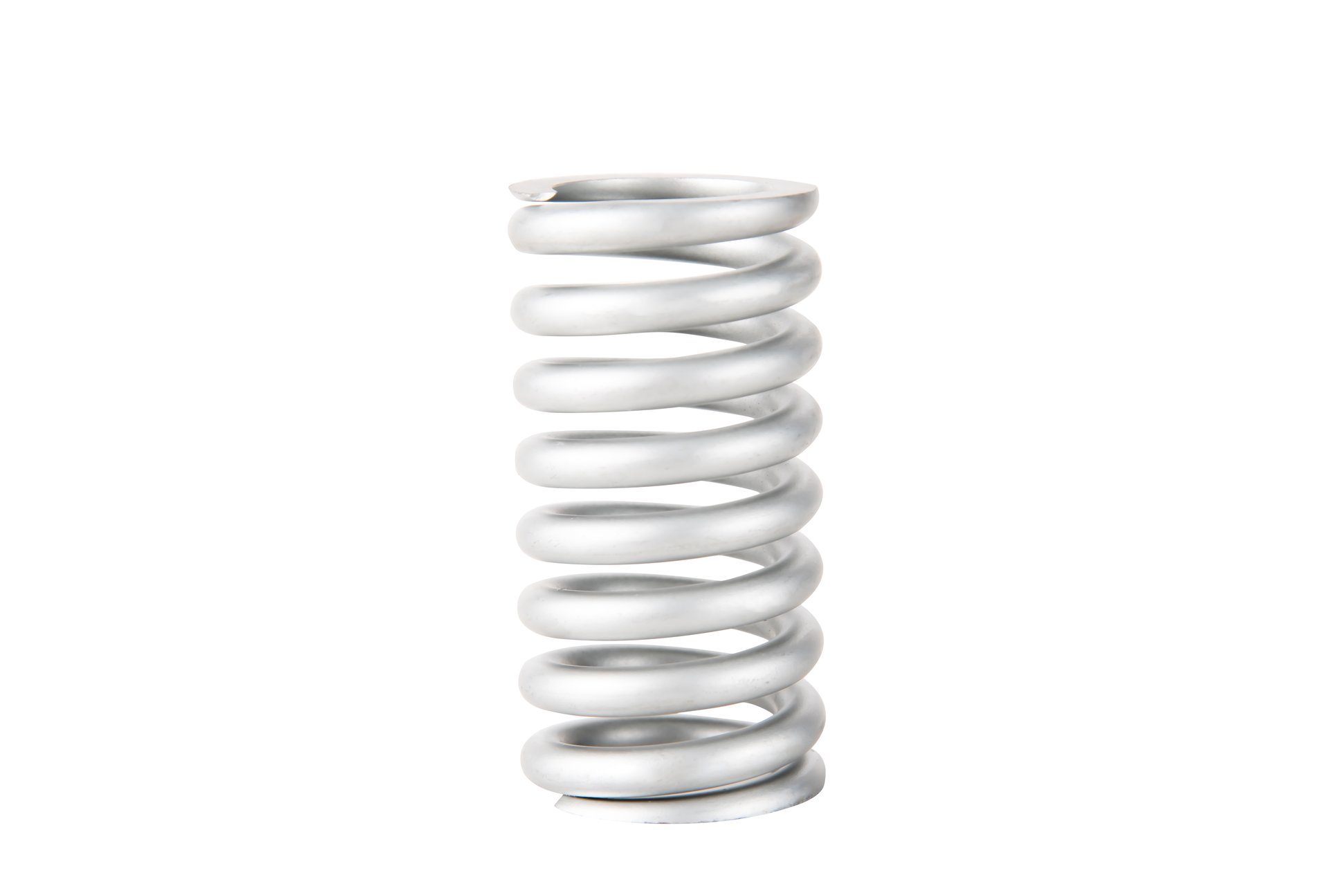 Stainless steel spring